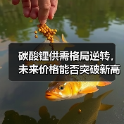 碳酸锂供需格局逆转，未来价格能否突破新高？（图4）