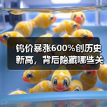 钨价暴涨600%创历史新高，背后隐藏哪些关键逻辑？（图3）