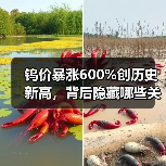 钨价暴涨600%创历史新高，背后隐藏哪些关键逻辑？（图4）