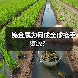 钨金属为何成全球抢手资源?(图3) 钨金属为何成全球抢手资源?(图3)