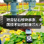 培育钻石板块暴涨,中国技术如何颠覆芯片产业链?(图4) 培育钻石板块暴涨,中国技术如何颠覆芯片产业链?(图4)