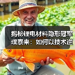 揭秘锂电材料隐形冠军璞泰来:如何以技术逆袭行业?(图1) 揭秘锂电材料隐形冠军璞泰来:如何以技术逆袭行业?(图1)
