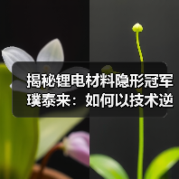 揭秘锂电材料隐形冠军璞泰来:如何以技术逆袭行业?(图3) 揭秘锂电材料隐形冠军璞泰来:如何以技术逆袭行业?(图3)