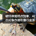 玻纤供需拐点到来,AI芯片争夺战引爆行业涨价潮(图2) 玻纤供需拐点到来,AI芯片争夺战引爆行业涨价潮(图2)