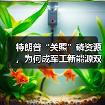 特朗普“关照”磷资源,为何成军工新能源双核驱动?(图2) 特朗普“关照”磷资源,为何成军工新能源双核驱动?(图2)
