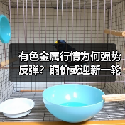 有色金属行情为何强势反弹?铜价或迎新一轮上涨(图4) 有色金属行情为何强势反弹?铜价或迎新一轮上涨(图4)