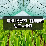 造纸业逆袭！新周期启动三大条件（图2）