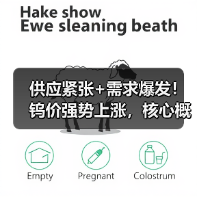 供应紧张+需求爆发！钨价强势上涨，核心概念股强势拉升（图2）