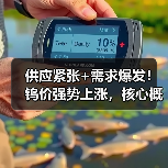 供应紧张+需求爆发！钨价强势上涨，核心概念股强势拉升（图3）