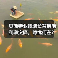贝斯特业绩增长背后毛利率突降,隐忧何在?(图1) 贝斯特业绩增长背后毛利率突降,隐忧何在?(图1)
