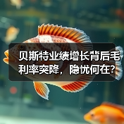 贝斯特业绩增长背后毛利率突降,隐忧何在?(图2) 贝斯特业绩增长背后毛利率突降,隐忧何在?(图2)