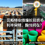 贝斯特业绩增长背后毛利率突降,隐忧何在?(图4) 贝斯特业绩增长背后毛利率突降,隐忧何在?(图4)