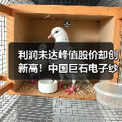 利润未达峰值股价却创新高!中国巨石电子纱如何撬动PCB市场?(图1) 利润未达峰值股价却创新高!中国巨石电子纱如何撬动PCB市场?(图1)