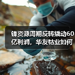 镍资源周期反转撬动60亿利润,华友钴业如何逆势崛起?(图2) 镍资源周期反转撬动60亿利润,华友钴业如何逆势崛起?(图2)
