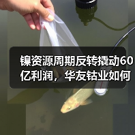 镍资源周期反转撬动60亿利润,华友钴业如何逆势崛起?(图4) 镍资源周期反转撬动60亿利润,华友钴业如何逆势崛起?(图4)