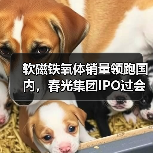 软磁铁氧体销量领跑国内，春光集团IPO过会引关注（图1）