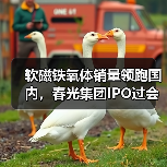 软磁铁氧体销量领跑国内，春光集团IPO过会引关注（图3）