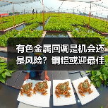 有色金属回调是机会还是风险?铜铝或迎最佳上车时机(图1) 有色金属回调是机会还是风险?铜铝或迎最佳上车时机(图1)