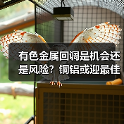 有色金属回调是机会还是风险?铜铝或迎最佳上车时机(图4) 有色金属回调是机会还是风险?铜铝或迎最佳上车时机(图4)