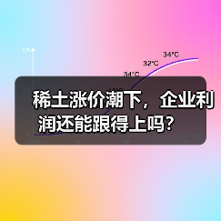 稀土涨价潮下，企业利润还能跟得上吗？（图1）