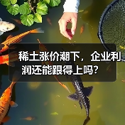 稀土涨价潮下，企业利润还能跟得上吗？（图2）
