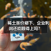 稀土涨价潮下，企业利润还能跟得上吗？（图4）