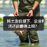 稀土涨价潮下，企业利润还能跟得上吗？（图3）