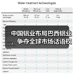 中国铝业布局巴西铝业，争夺全球市场话语权？（图2）