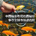 中国铝业布局巴西铝业，争夺全球市场话语权？（图1）