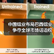 中国铝业布局巴西铝业，争夺全球市场话语权？（图3）