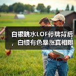 白银跳水LOF停牌背后，白银有色暴涨真相曝光！（图4）