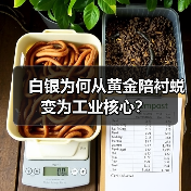 白银为何从黄金陪衬蜕变为工业核心?(图3) 白银为何从黄金陪衬蜕变为工业核心?(图3)