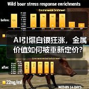 AI引爆白银狂涨,金属价值如何被重新定价?(图1) AI引爆白银狂涨,金属价值如何被重新定价?(图1)