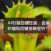 AI引爆白银狂涨,金属价值如何被重新定价?(图3) AI引爆白银狂涨,金属价值如何被重新定价?(图3)