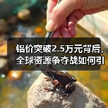 铝价突破2.5万元背后，全球资源争夺战如何引爆？（图1）