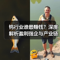 钨行业谁最赚钱?深度解析盈利强企与产业链竞争力(图2) 钨行业谁最赚钱?深度解析盈利强企与产业链竞争力(图2)