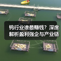 钨行业谁最赚钱?深度解析盈利强企与产业链竞争力(图4) 钨行业谁最赚钱?深度解析盈利强企与产业链竞争力(图4)