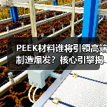 PEEK材料谁将引领高端制造爆发?核心引擎揭秘(图2) PEEK材料谁将引领高端制造爆发?核心引擎揭秘(图2)
