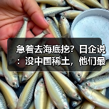 急着去海底挖?日企说:没中国稀土,他们最多撑3-6个月(图1) 急着去海底挖?日企说:没中国稀土,他们最多撑3-6个月(图1)