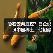 急着去海底挖?日企说:没中国稀土,他们最多撑3-6个月(图4) 急着去海底挖?日企说:没中国稀土,他们最多撑3-6个月(图4)