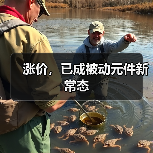 涨价,已成被动元件新常态(图2) 涨价,已成被动元件新常态(图2)