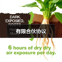有限合伙协议（图1）