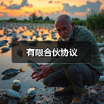有限合伙协议（图3）