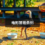 电影管理条例（图1）