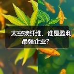 太空碳纤维,谁是盈利最强企业?(图1) 太空碳纤维,谁是盈利最强企业?(图1)