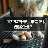 太空碳纤维,谁是盈利最强企业?(图4) 太空碳纤维,谁是盈利最强企业?(图4)