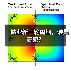 钴业新一轮周期,谁是赢家?(图2) 钴业新一轮周期,谁是赢家?(图2)