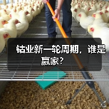 钴业新一轮周期,谁是赢家?(图3) 钴业新一轮周期,谁是赢家?(图3)