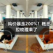 钨价暴涨200%!概念股梳理来了(图2) 钨价暴涨200%!概念股梳理来了(图2)