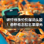 碳纤维涨价引爆龙头股!最新概念股名单曝光(图2) 碳纤维涨价引爆龙头股!最新概念股名单曝光(图2)